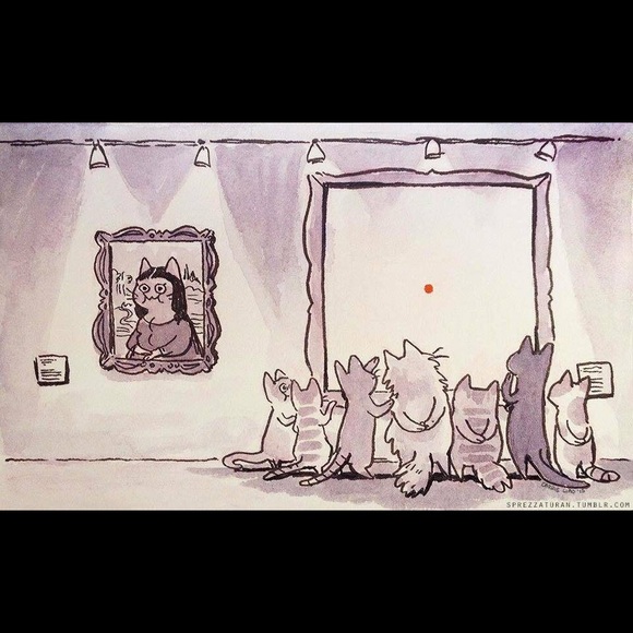 Everything must go! - Picture 6 of 8